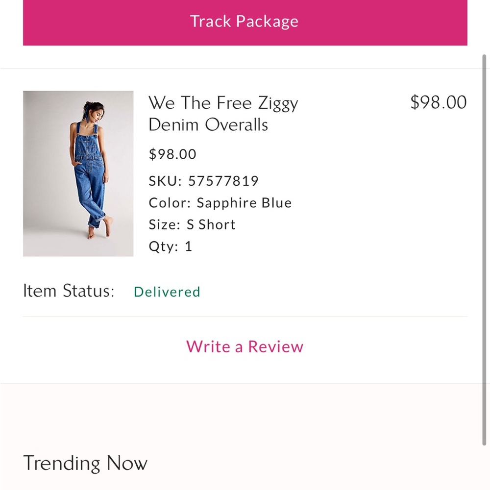 We The Free Sapphire Blue Overalls